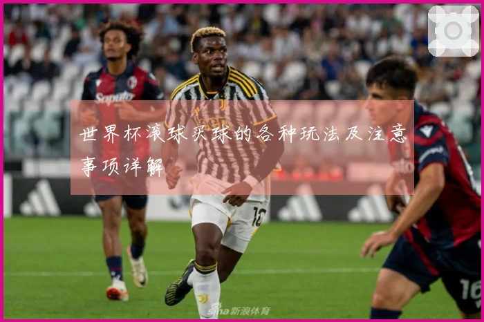 世界杯滚球买球的各种玩法及注意事项详解