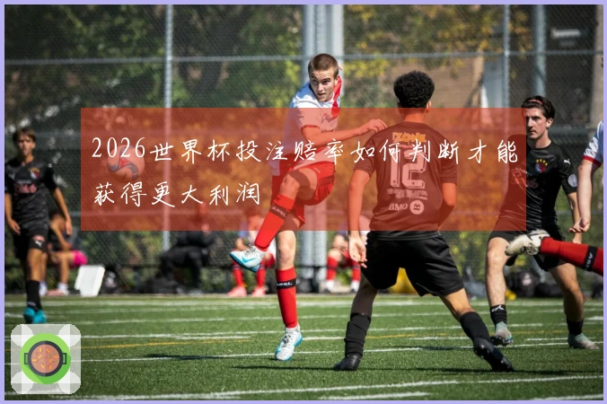 2026世界杯投注赔率如何判断才能获得更大利润