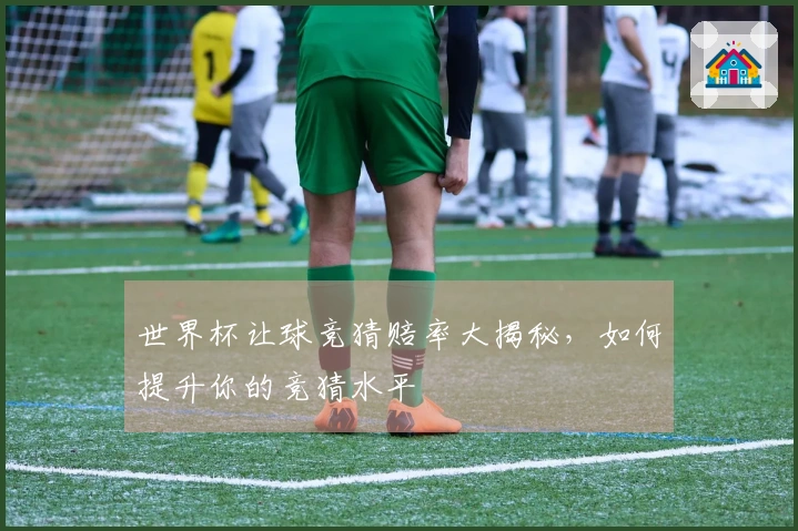 世界杯让球竞猜赔率大揭秘，如何提升你的竞猜水平