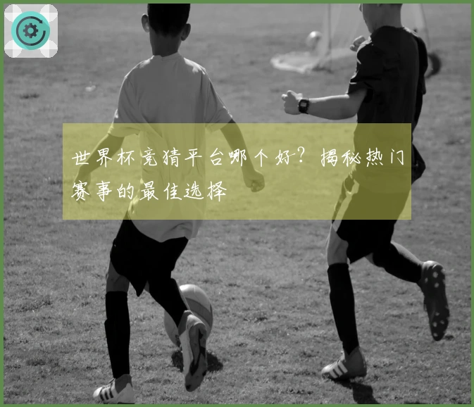 世界杯竞猜平台哪个好？揭秘热门赛事的最佳选择
