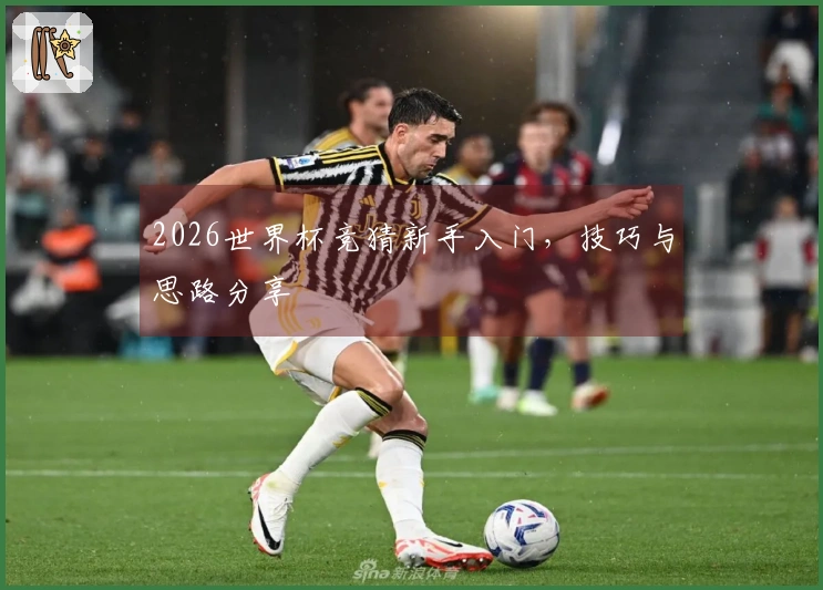 2026世界杯竞猜新手入门，技巧与思路分享