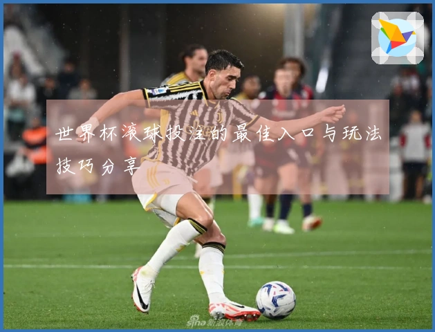 世界杯滚球投注的最佳入口与玩法技巧分享