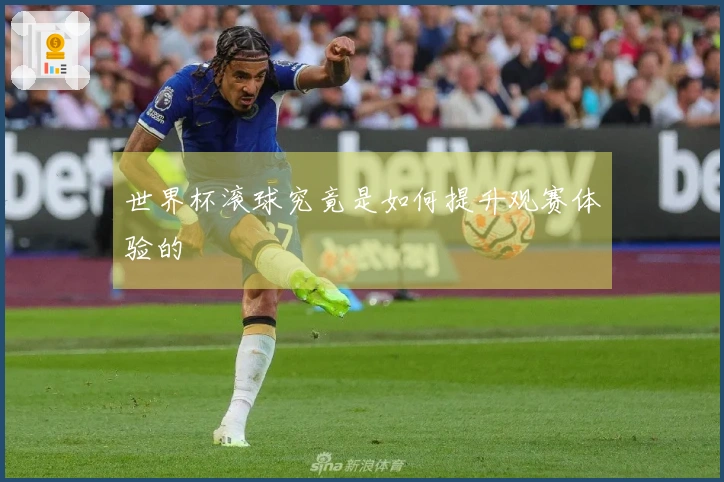 世界杯滚球究竟是如何提升观赛体验的